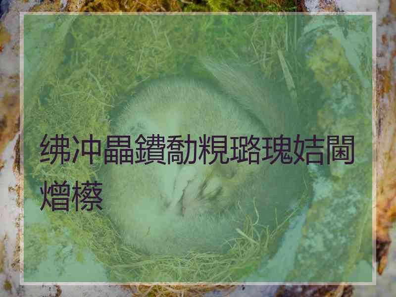 绋冲畾鐨勪粯璐瑰姞閫熷櫒