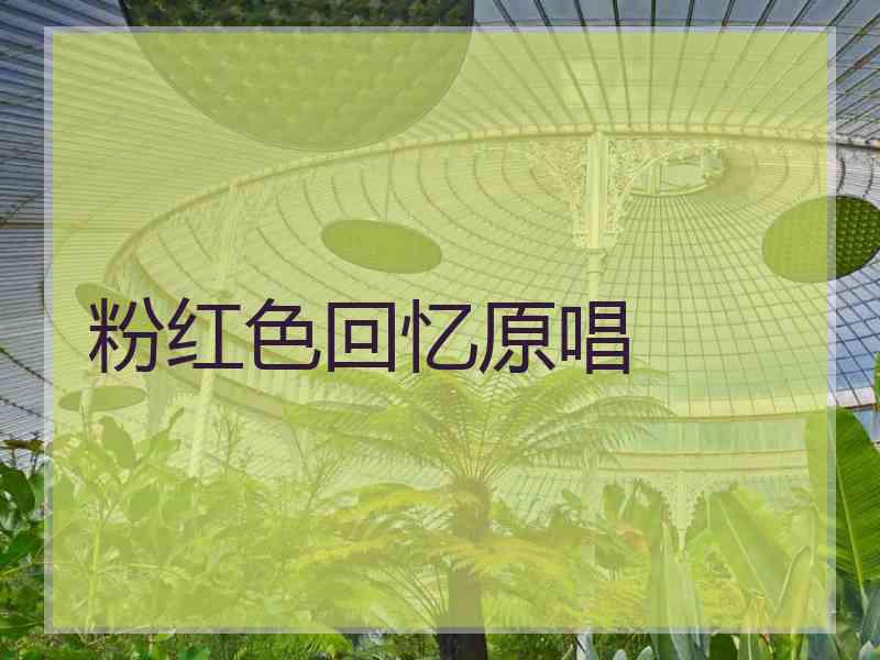 粉红色回忆原唱