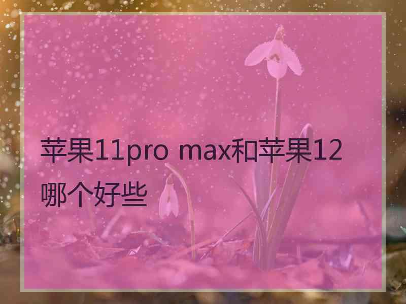 苹果11pro max和苹果12哪个好些