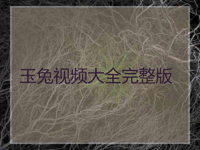 玉兔视频大全完整版