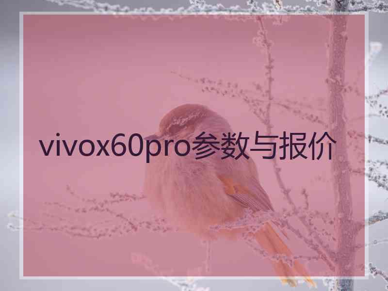 vivox60pro参数与报价