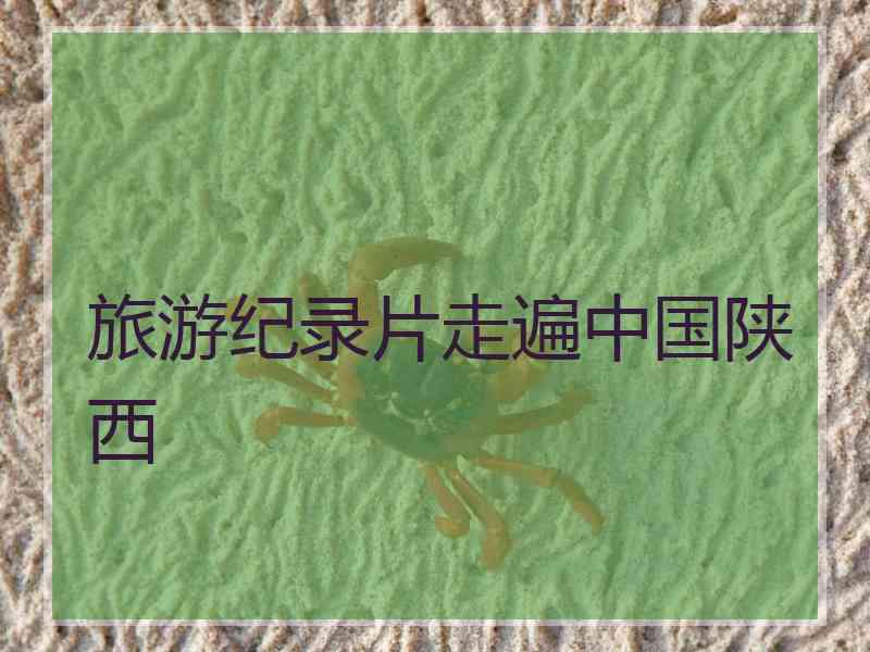 旅游纪录片走遍中国陕西