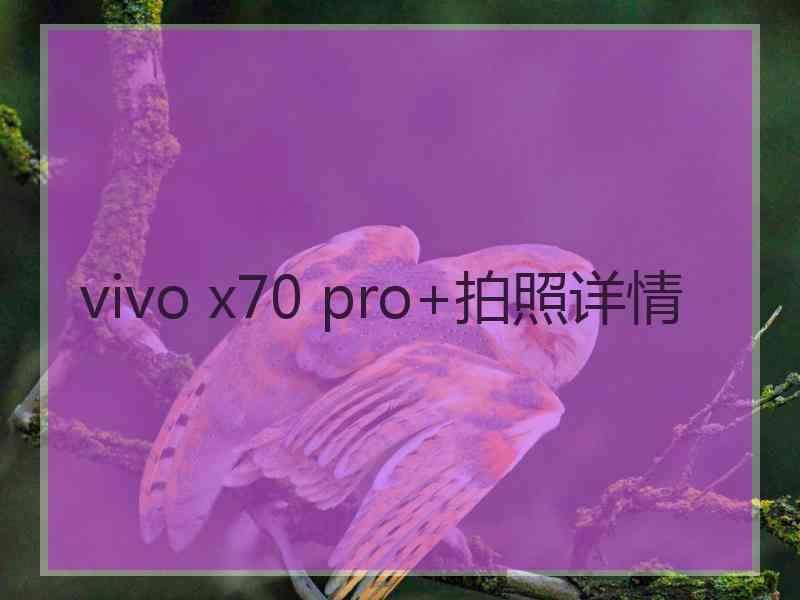 vivo x70 pro+拍照详情