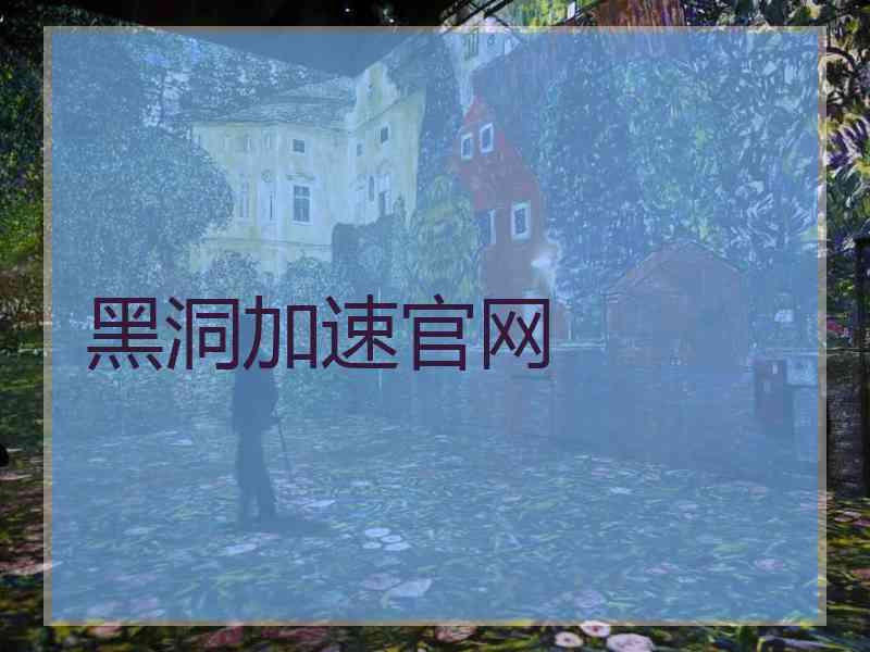黑洞加速官网