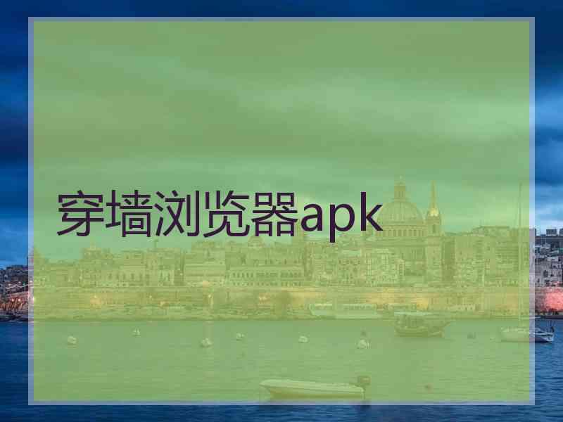 穿墙浏览器apk