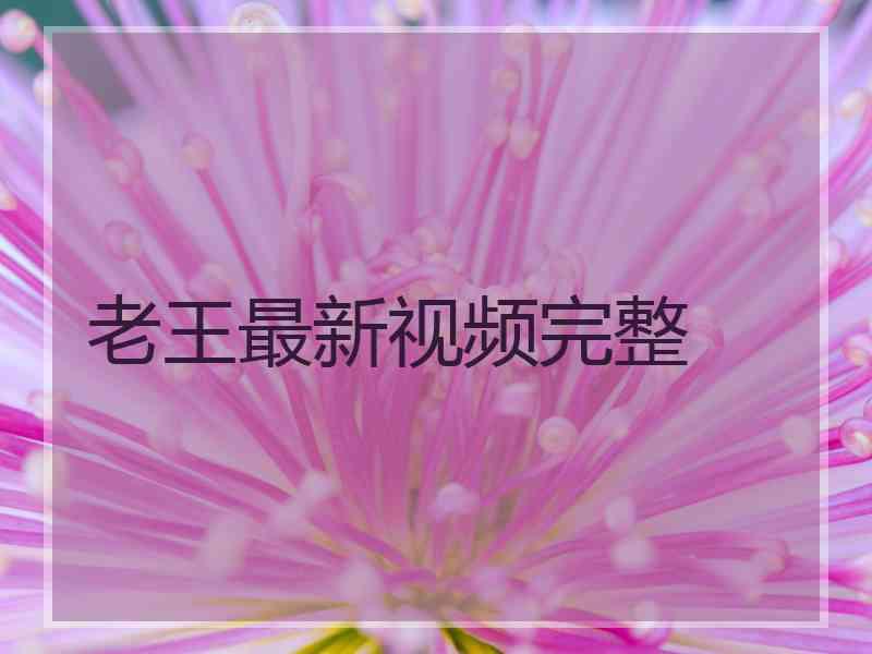 老王最新视频完整