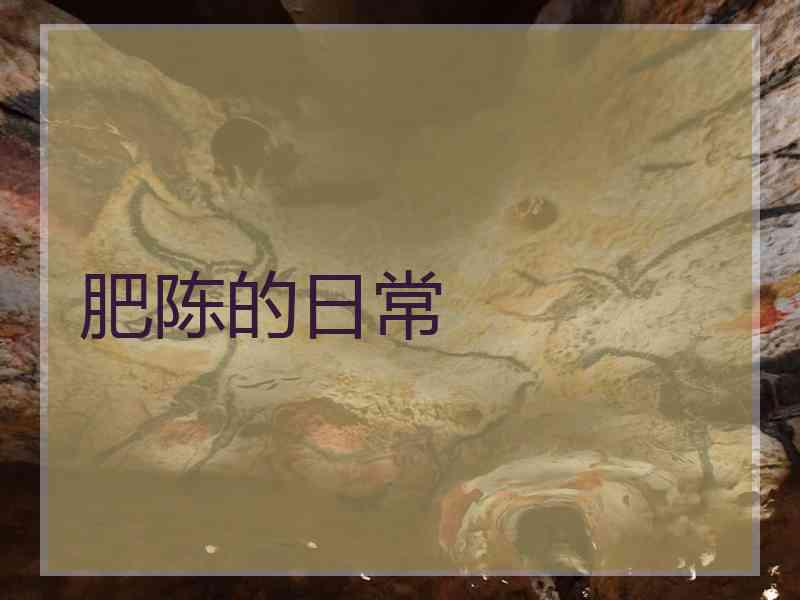 肥陈的日常