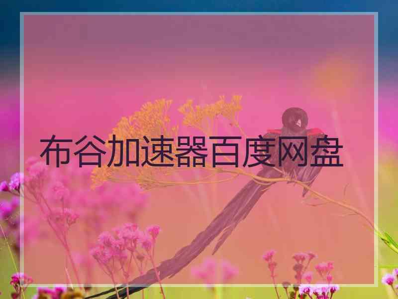 布谷加速器百度网盘