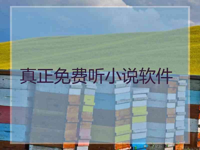 真正免费听小说软件
