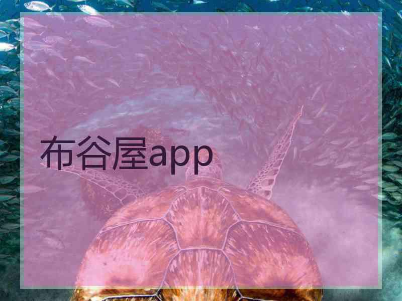 布谷屋app