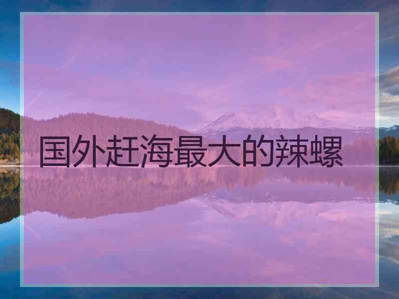 国外赶海最大的辣螺