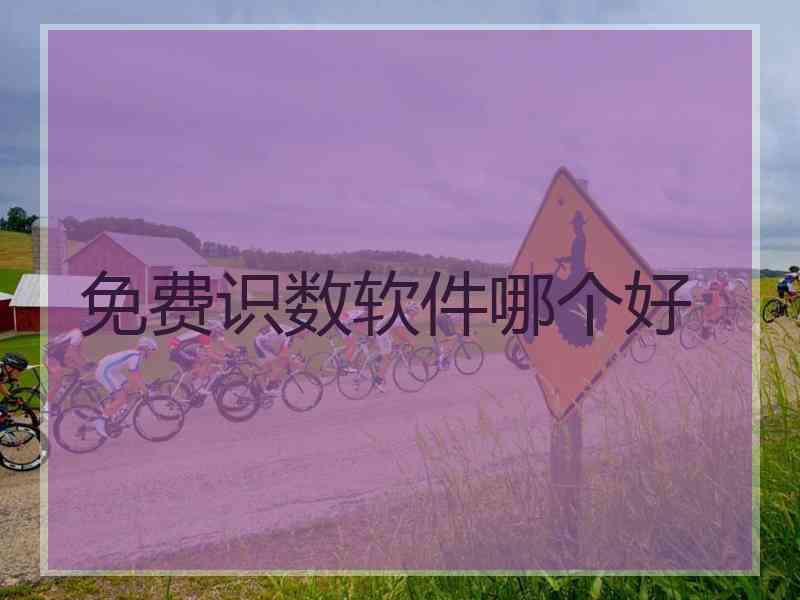 免费识数软件哪个好