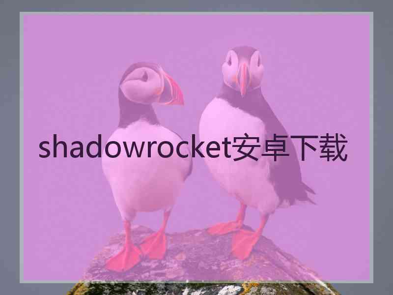 shadowrocket安卓下载