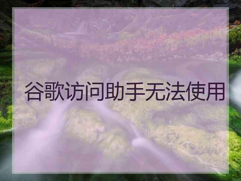 谷歌访问助手无法使用