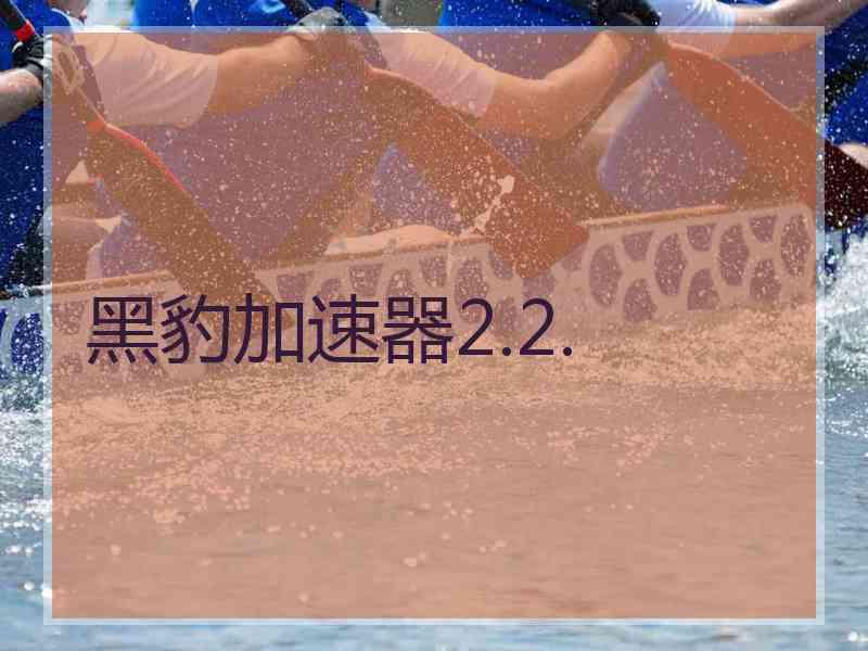 黑豹加速器2.2.