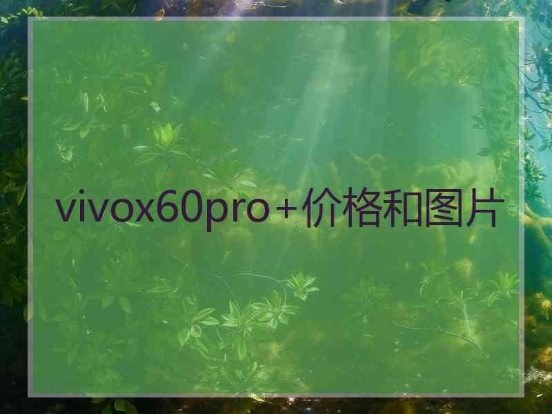 vivox60pro+价格和图片