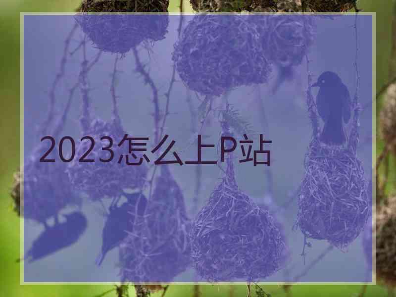 2023怎么上P站