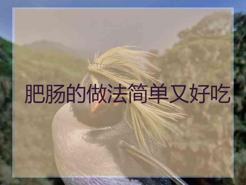 肥肠的做法简单又好吃