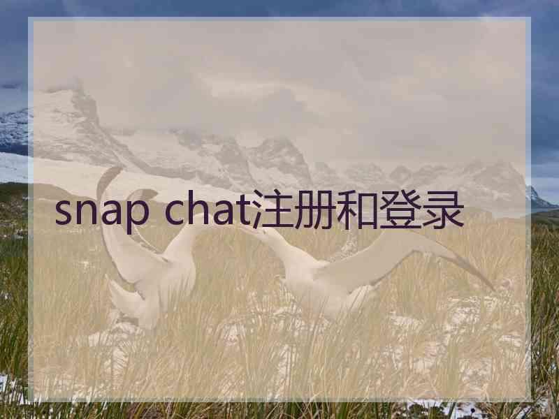 snap chat注册和登录