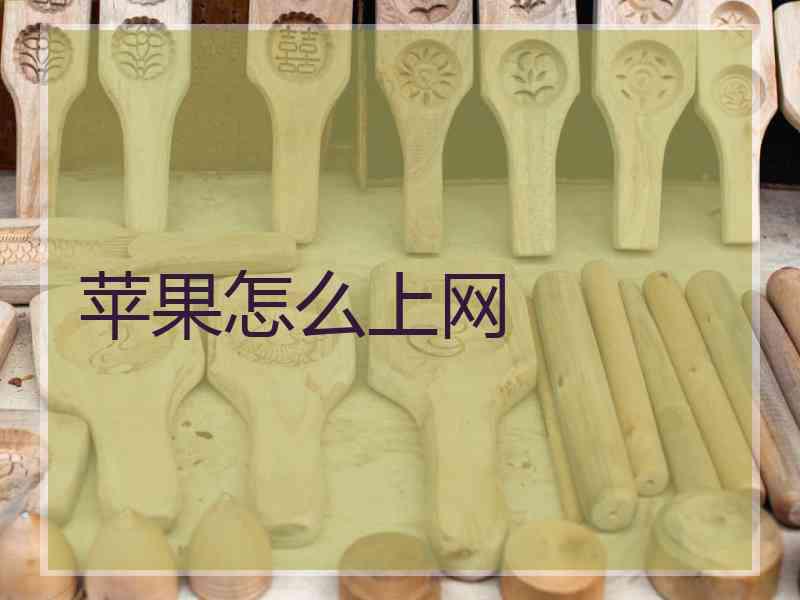 苹果怎么上网