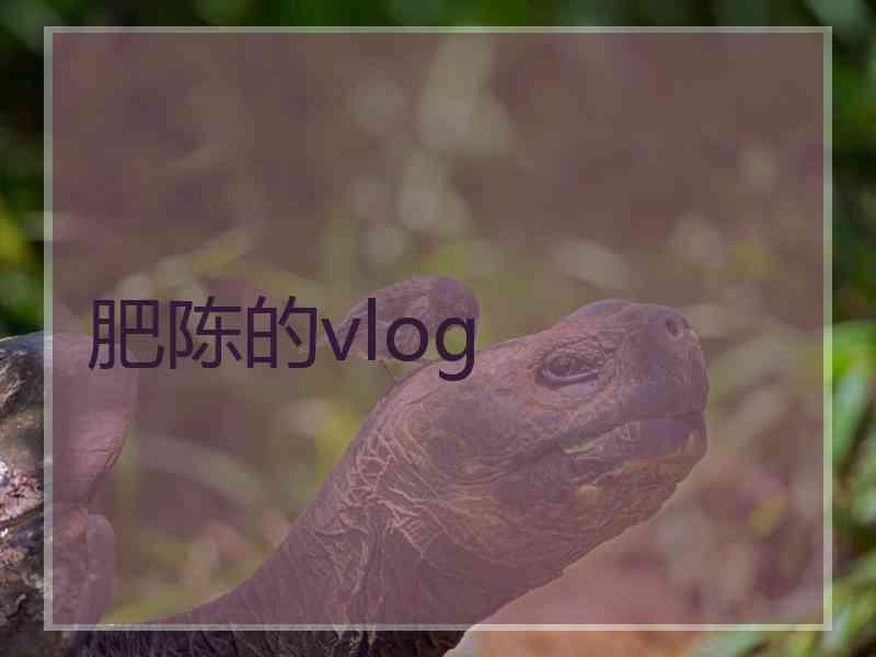 肥陈的vlog