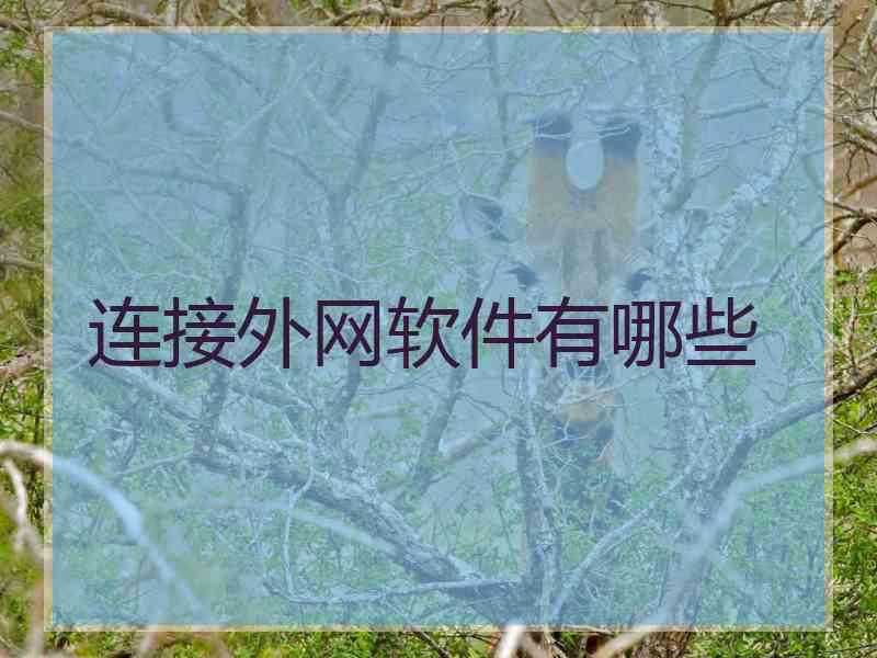 连接外网软件有哪些