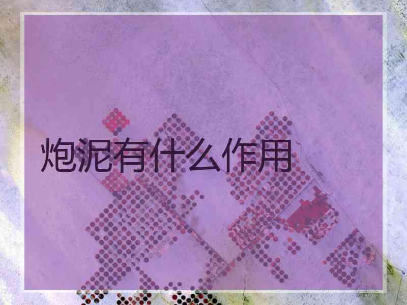 炮泥有什么作用