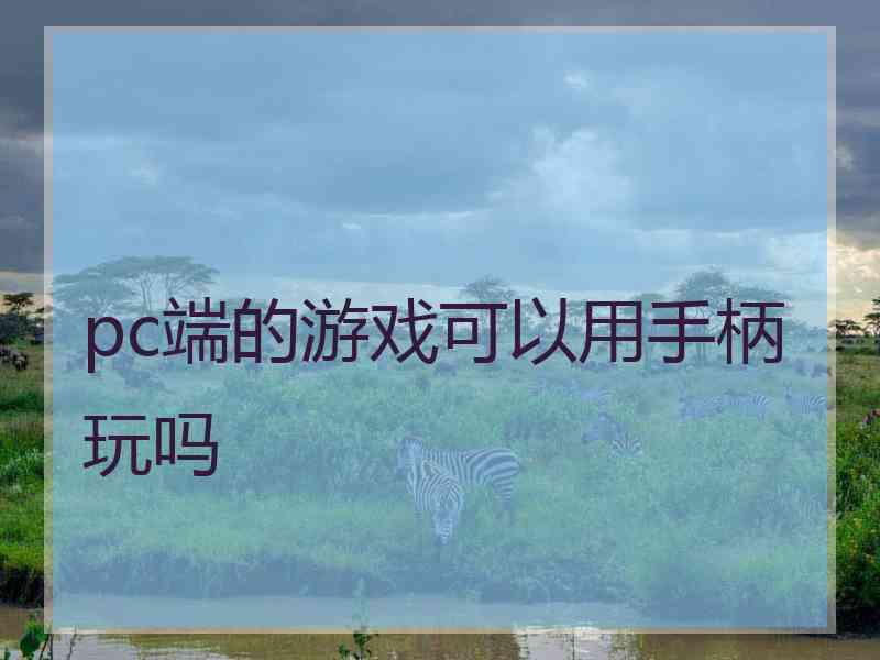 pc端的游戏可以用手柄玩吗