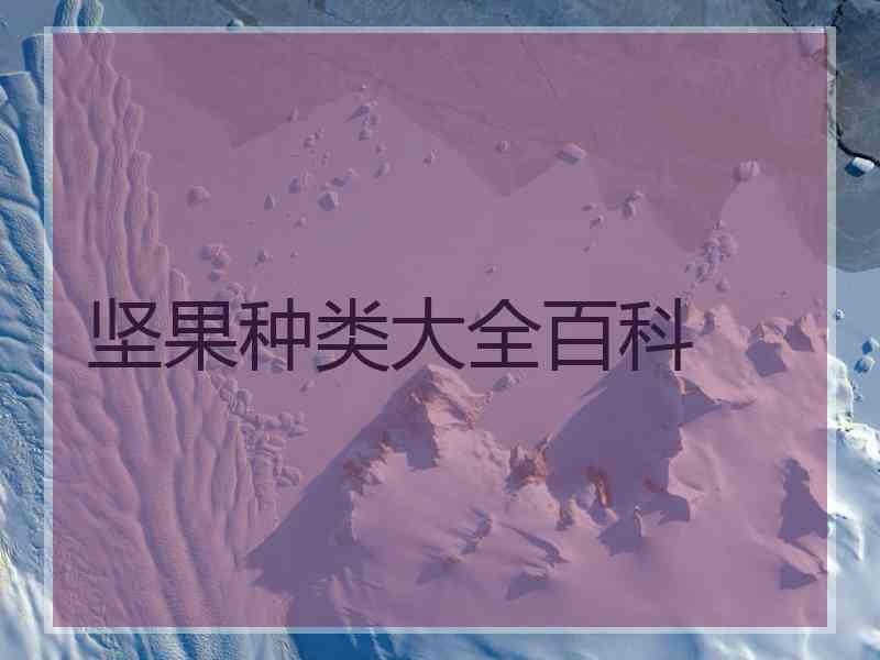 坚果种类大全百科