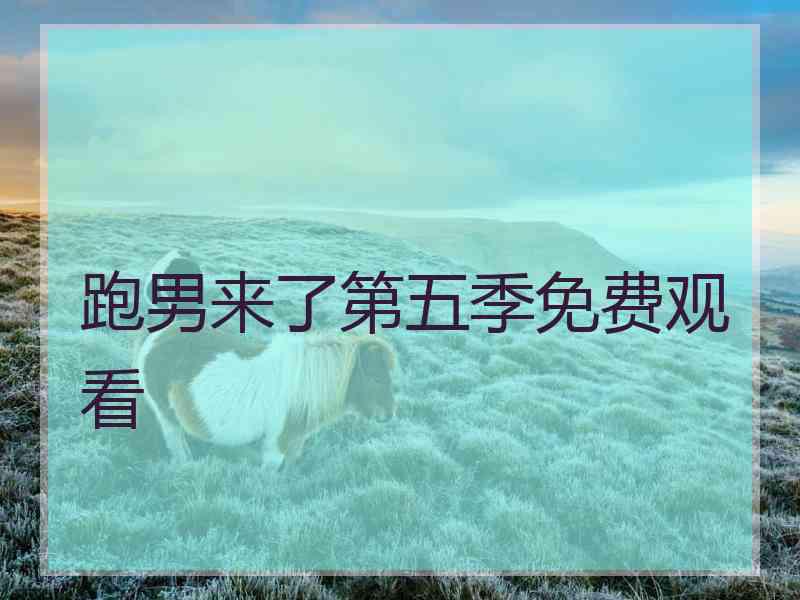 跑男来了第五季免费观看