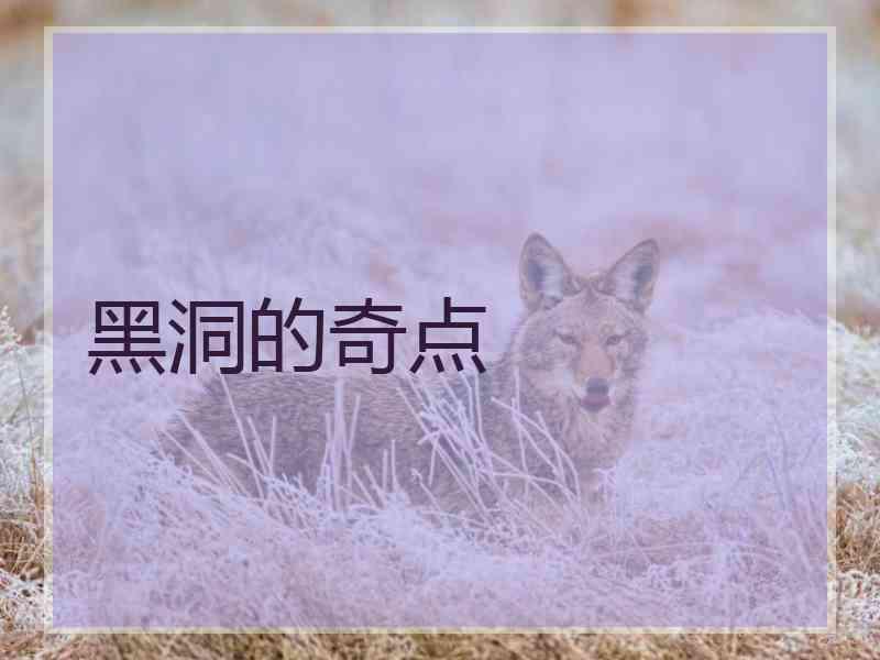 黑洞的奇点