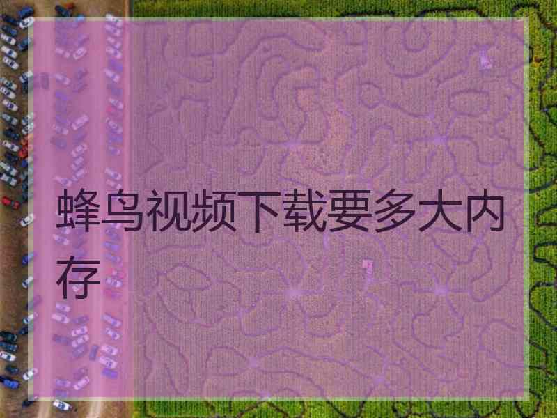 蜂鸟视频下载要多大内存