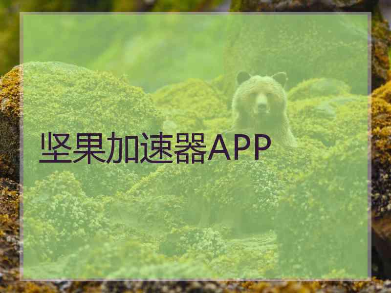 坚果加速器APP
