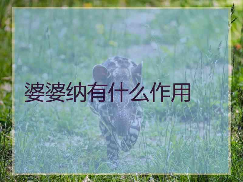 婆婆纳有什么作用