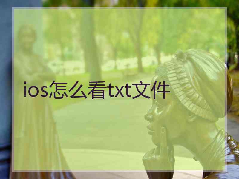 ios怎么看txt文件