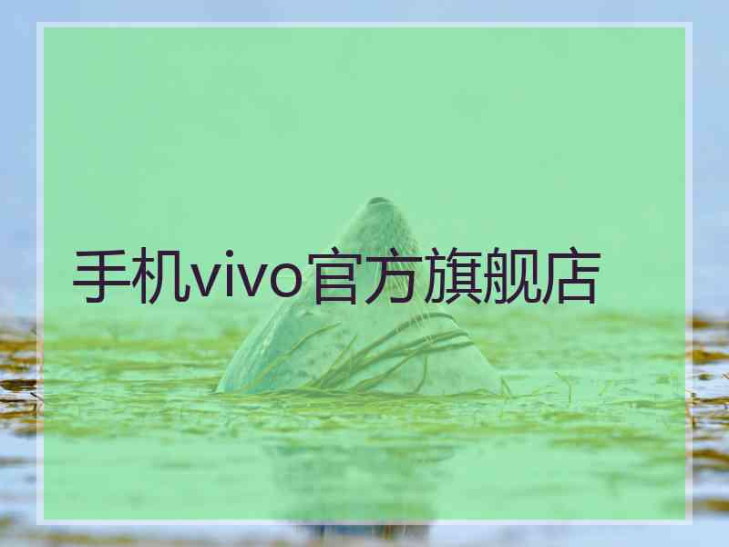 手机vivo官方旗舰店