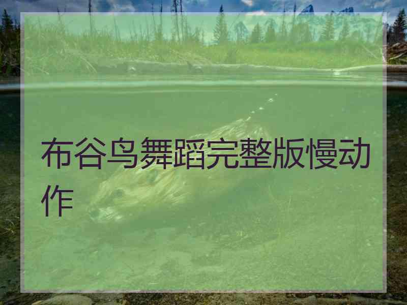 布谷鸟舞蹈完整版慢动作