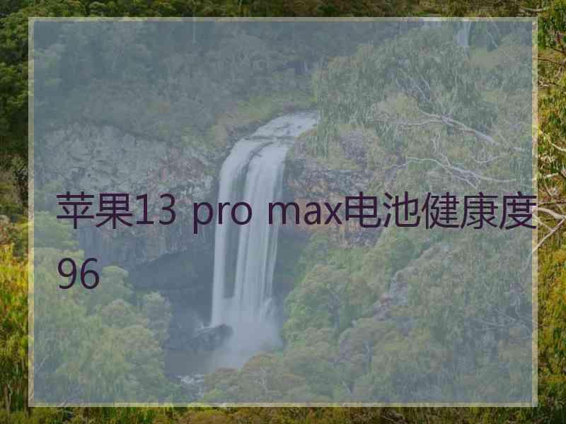 苹果13 pro max电池健康度96