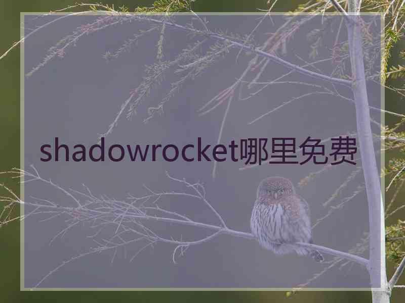 shadowrocket哪里免费