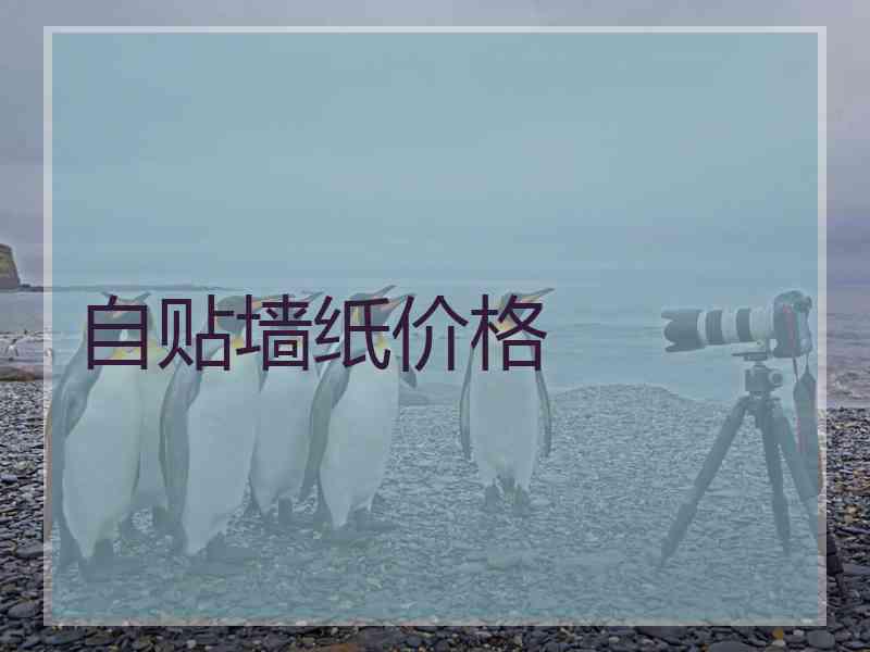 自贴墙纸价格