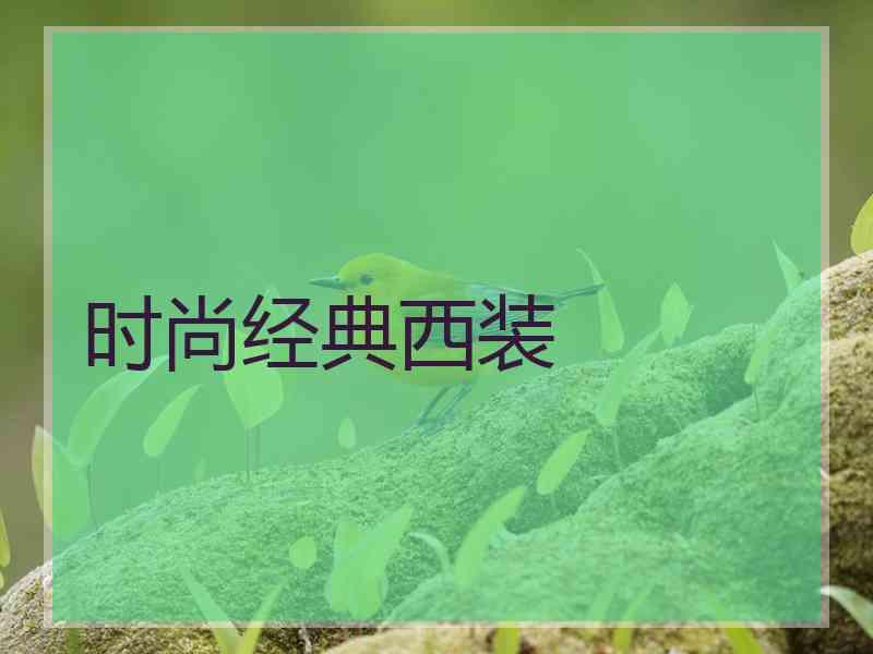 时尚经典西装