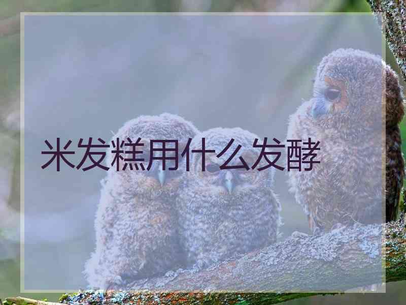 米发糕用什么发酵