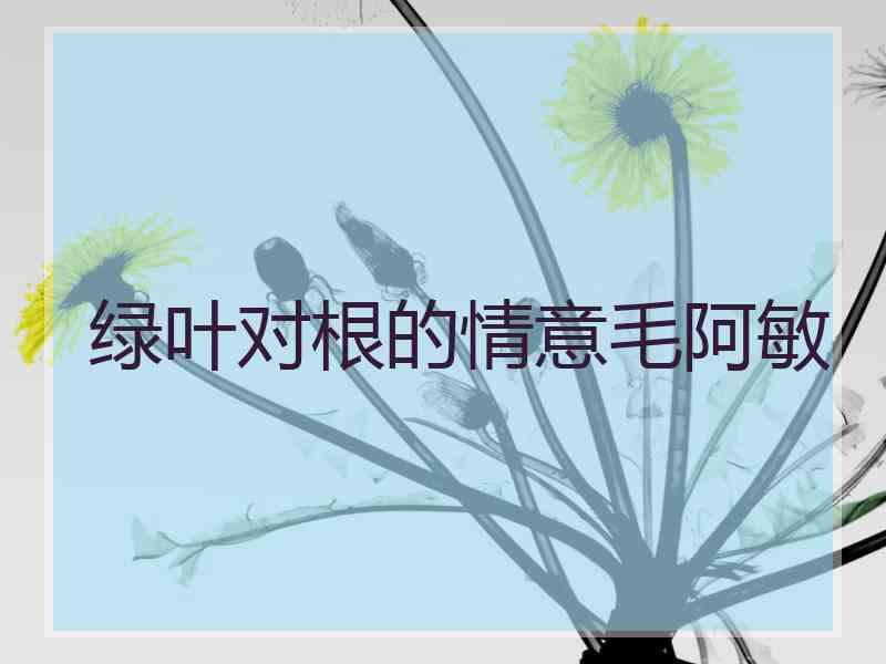 绿叶对根的情意毛阿敏