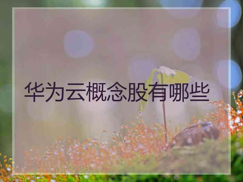 华为云概念股有哪些