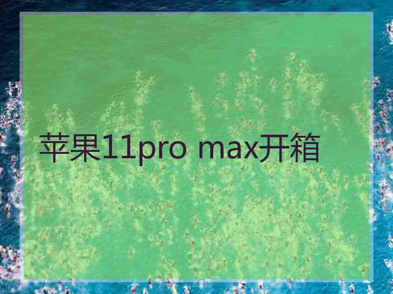 苹果11pro max开箱