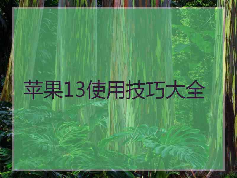 苹果13使用技巧大全