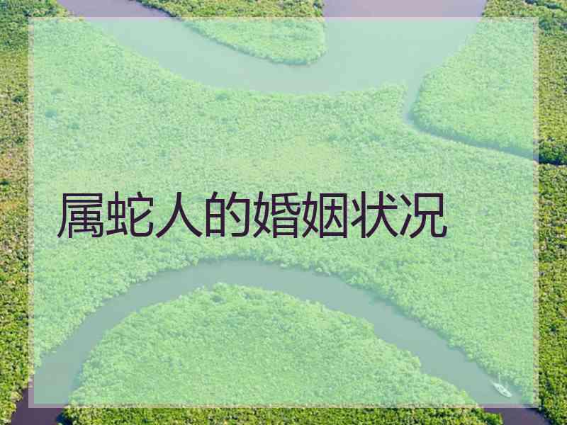 属蛇人的婚姻状况