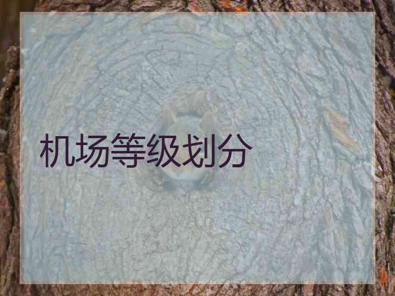机场等级划分