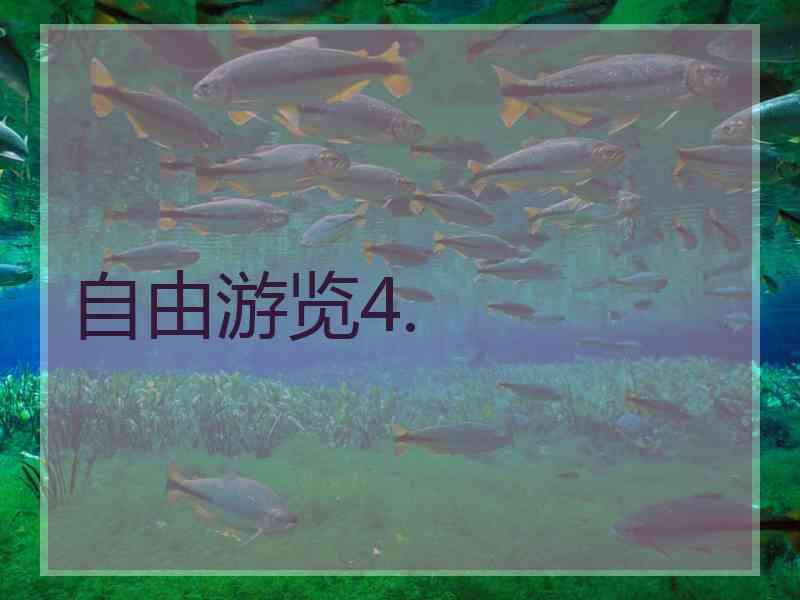 自由游览4.