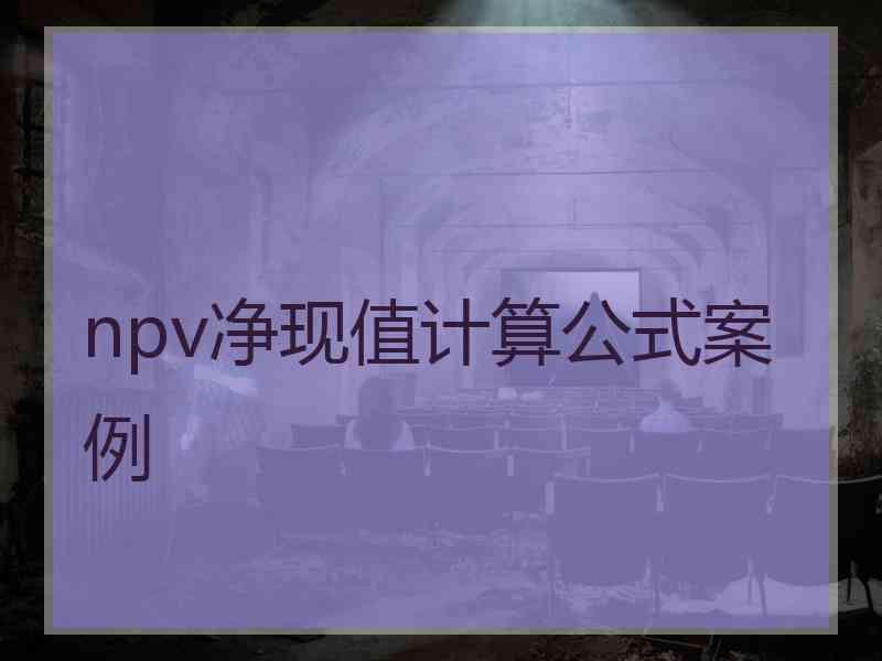 npv净现值计算公式案例
